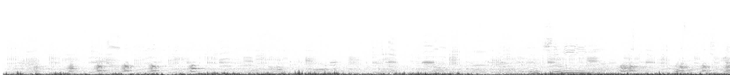 Cormorán Biguá - ML647657018