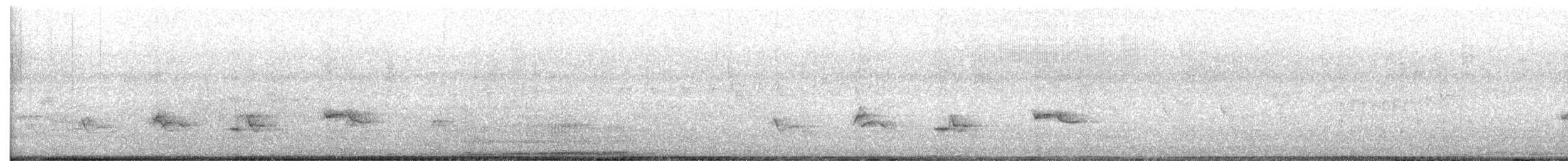 American Robin - ML647657173