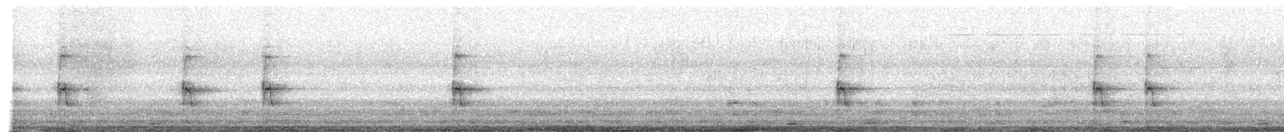 American Robin - ML647657174