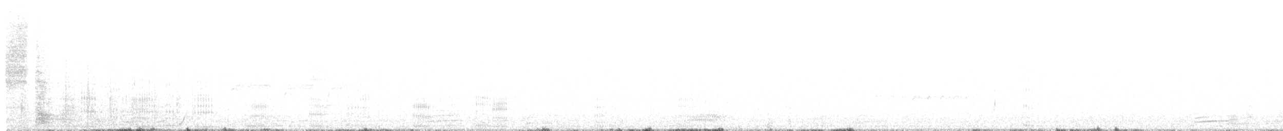 Cormorán Biguá - ML647657320