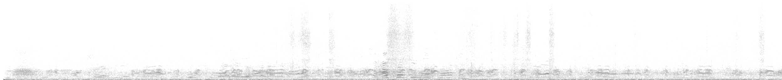 Chingolo Coronirrufo - ML647657499