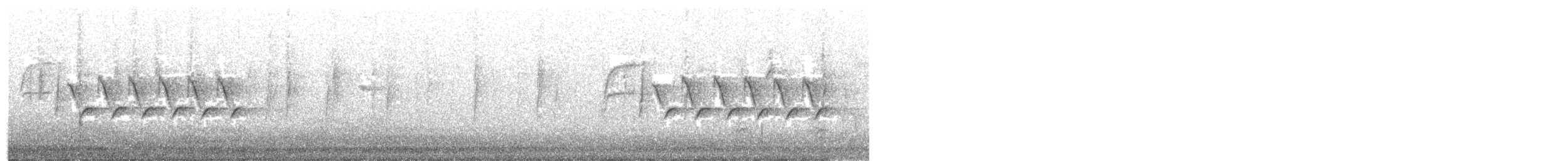 Troglodyte de Bewick - ML647657795