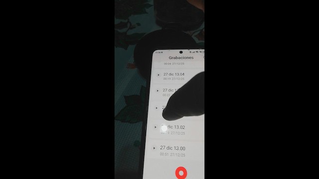 Black-crowned Antshrike - ML647657818