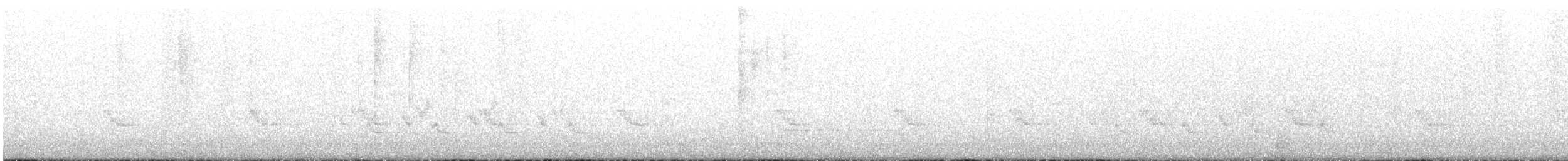 Troglodyte de Caroline - ML647658544