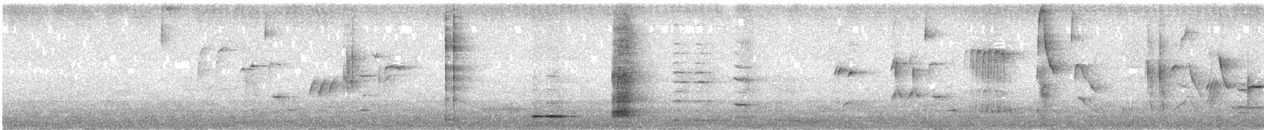 Méliphage tui - ML647658563