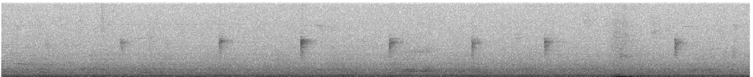 Paruline à croupion jaune - ML647658595