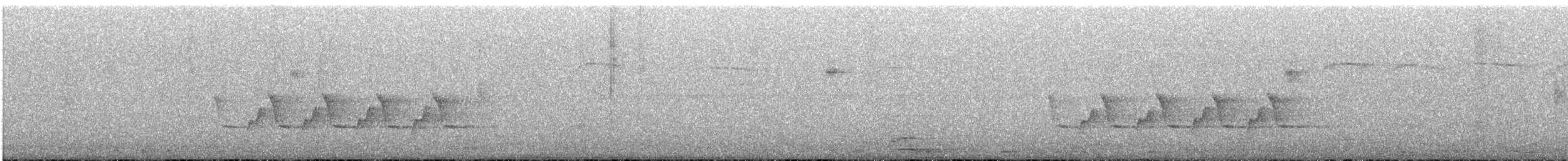 Troglodyte de Caroline - ML647658601