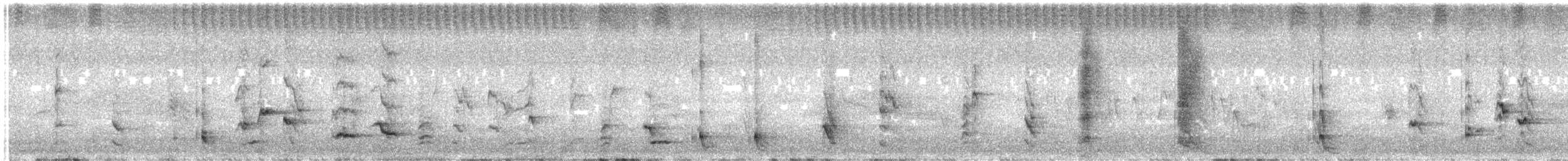 ニュージーランドミツスイ - ML647658711