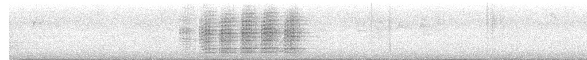 Amazona Alinaranja - ML647658948