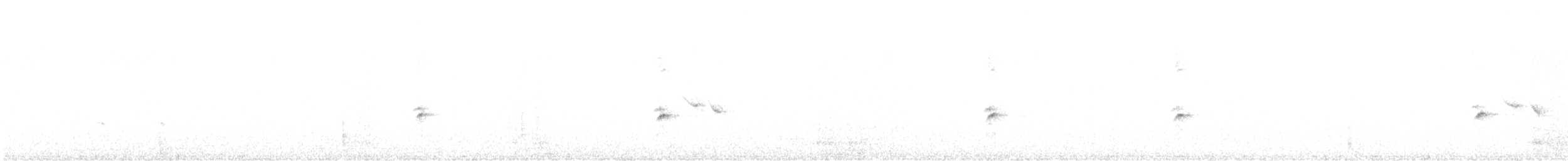 ギンザンマシコ - ML647659283