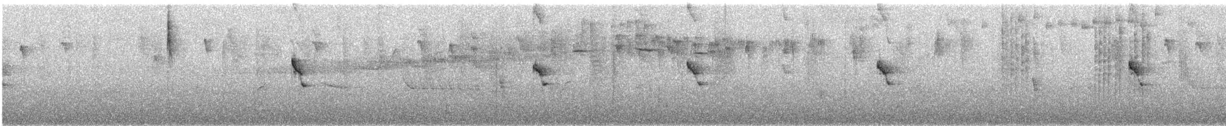 Bruant chingolo - ML647659645