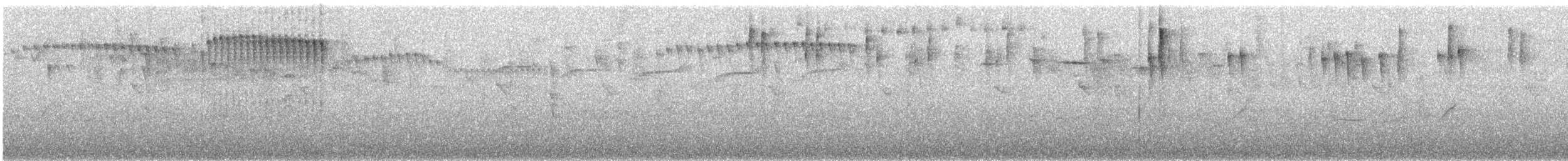Anabasitte perlée - ML647659664