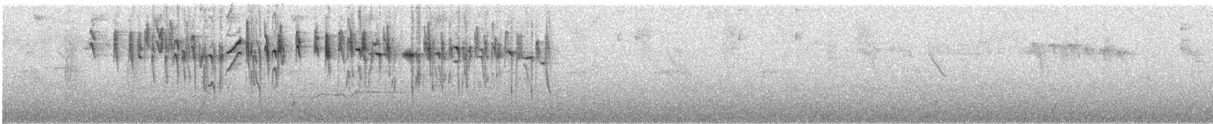 Percefleur masqué - ML647659676