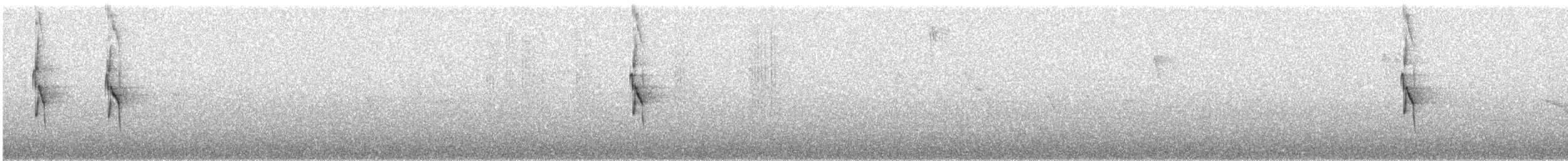 Tyran sociable - ML647659765