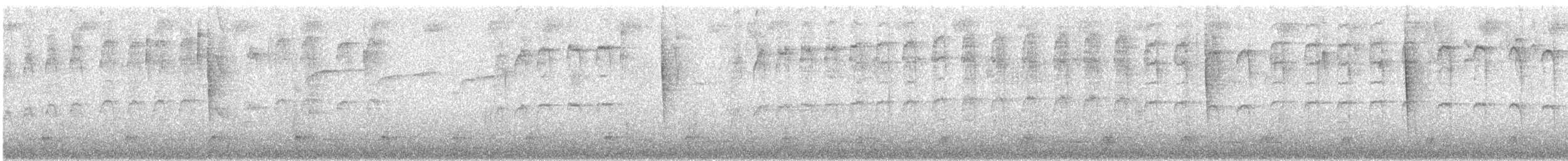 Barred Becard - ML647660228