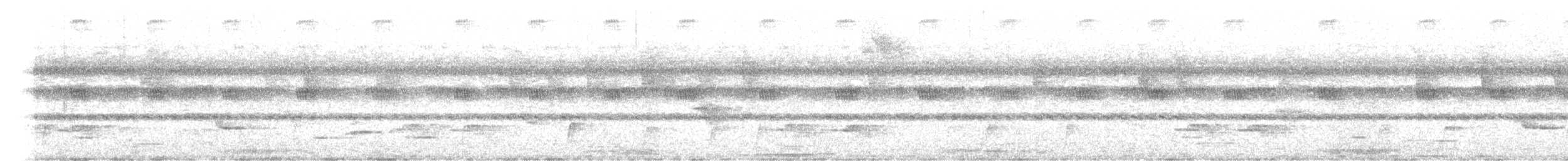 Habia Sombría - ML647661188