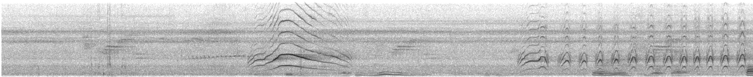 káně krahujová - ML647662077