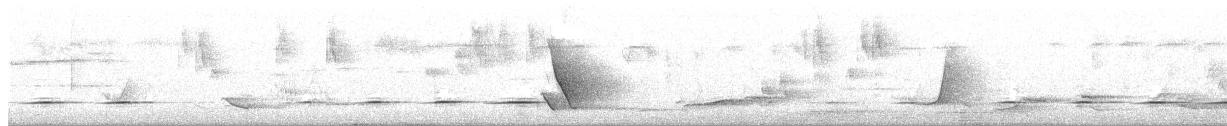 Golden Whistler (Eastern) - ML647665495