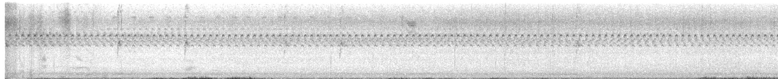 White-throated Sparrow - ML647665528