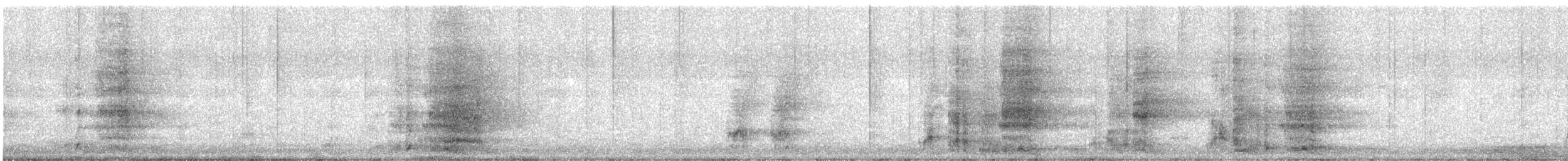 Yellow Wattlebird - ML647665856