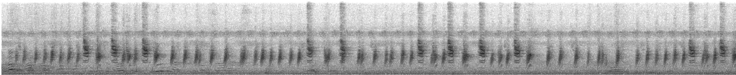 Black-throated Wattle-eye - ML647666045