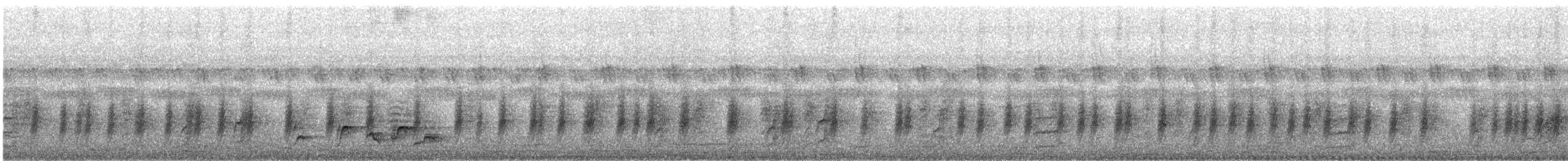 Black-throated Wattle-eye - ML647666046