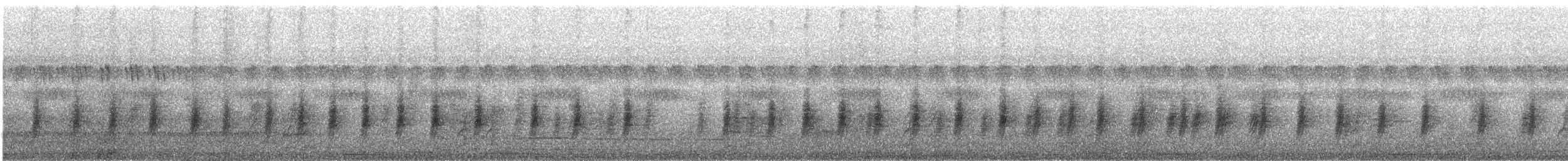 Black-throated Wattle-eye - ML647666048