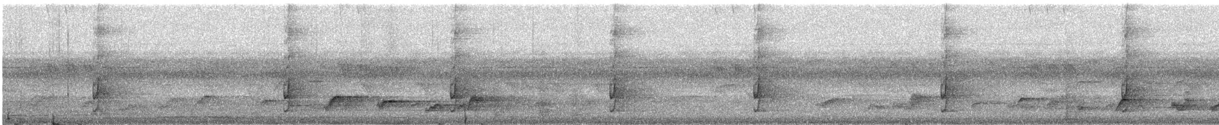 African Goshawk - ML647666777