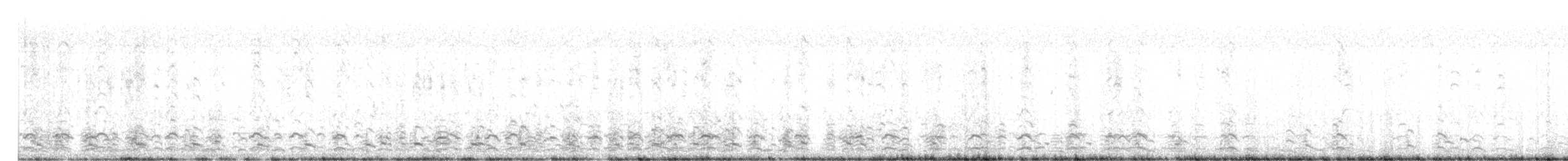 Oca canadese minore - ML647667164