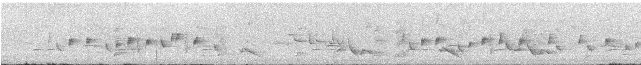 Brown Gerygone - ML647667170