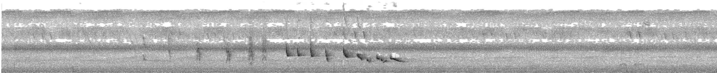 Moustached Grass-Warbler - ML647668414