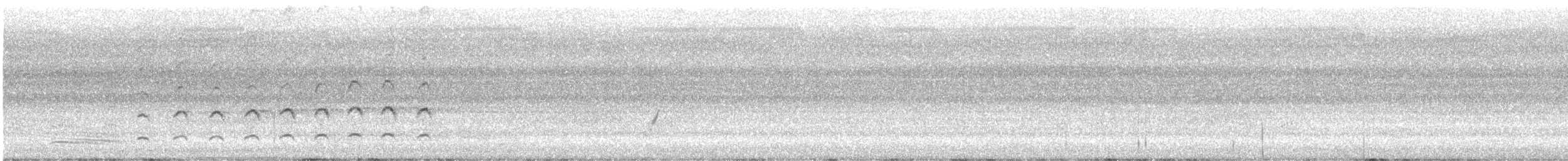 Spangled Drongo - ML647668420