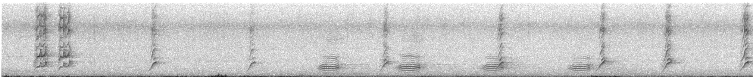 Blue-faced Honeyeater - ML647668812