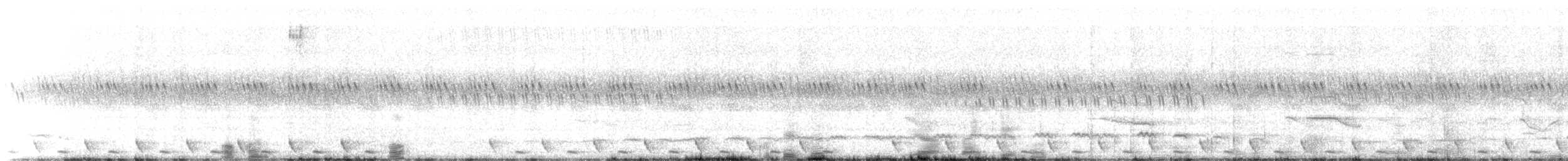 Gray Nightjar - ML647668856