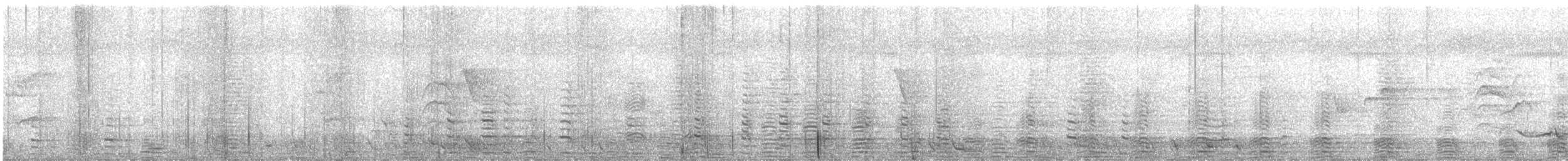 Magpie Goose - ML647668865