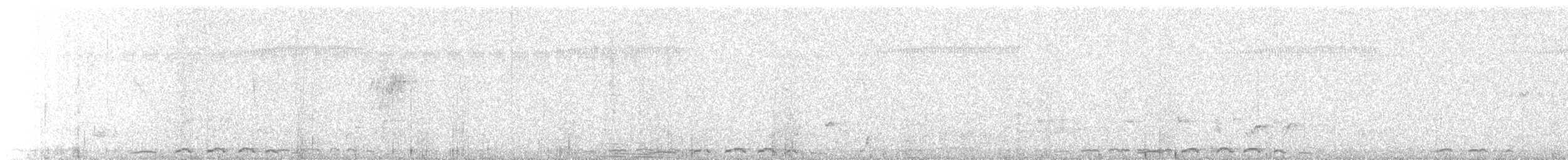 Usapal senegaldarra - ML647668987