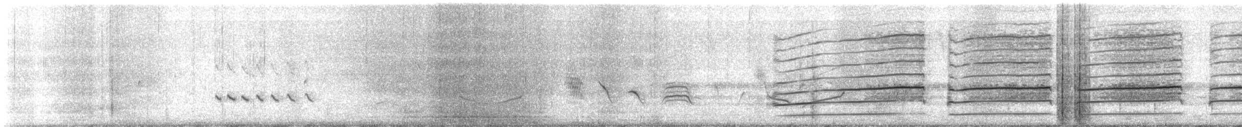 Bernagorri arrunta - ML647669088