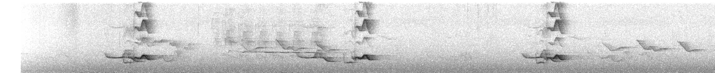 Spotted Laughingthrush - ML647669335