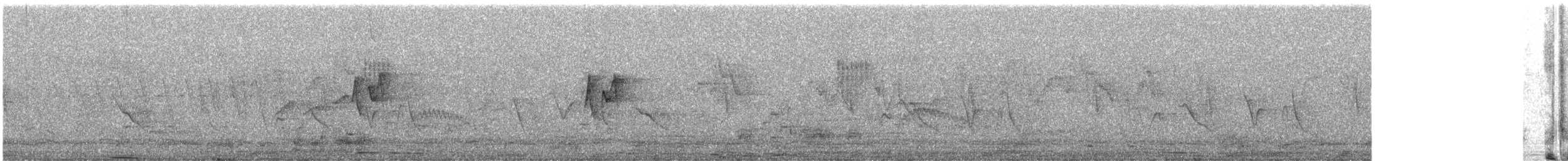 淡眉柳鶯 - ML647669374