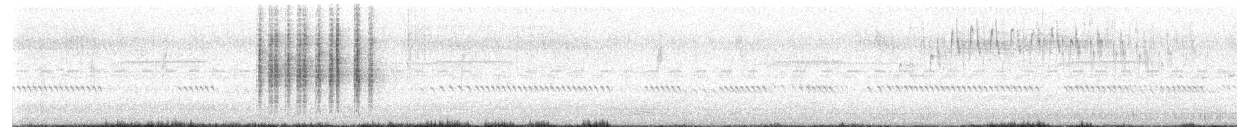 Willie-wagtail - ML647669379