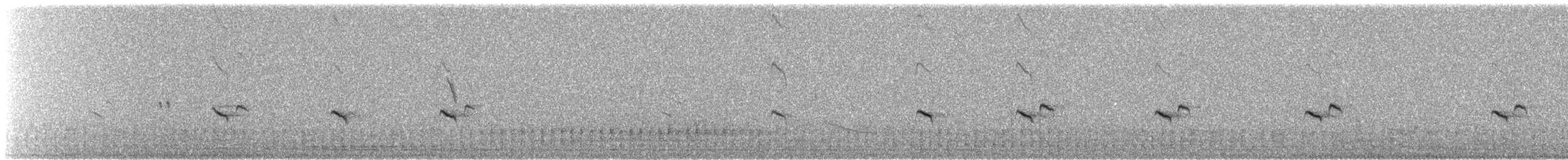 Variable Wheatear - ML647669486