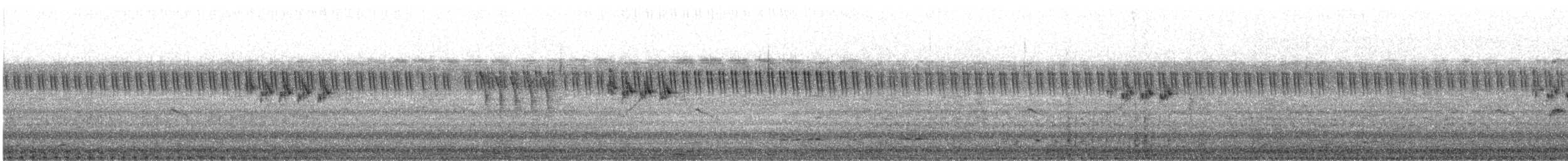 Ashy Prinia - ML647669736