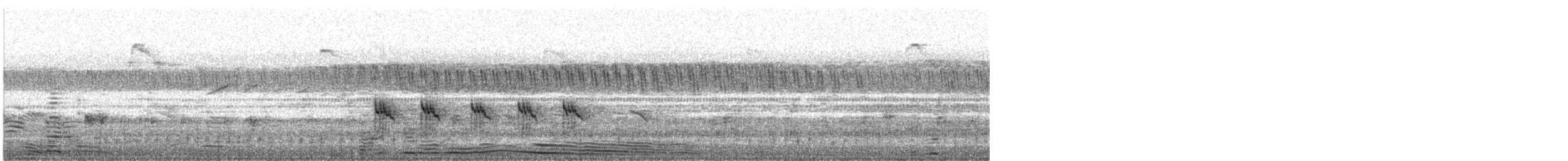 Asian Green Bee-eater - ML647669762