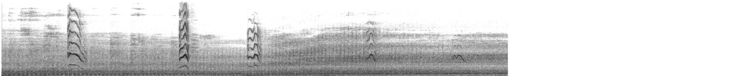 River Tern - ML647669792