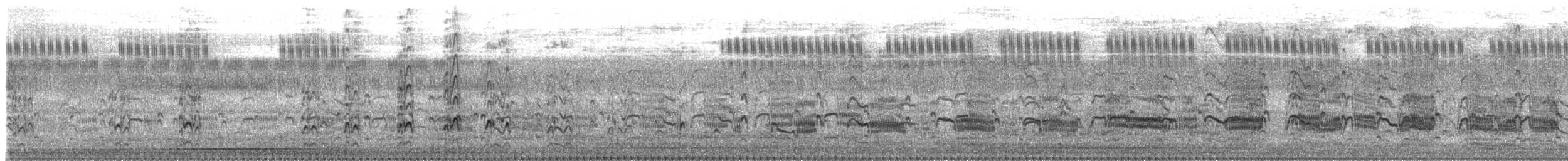 River Tern - ML647669793