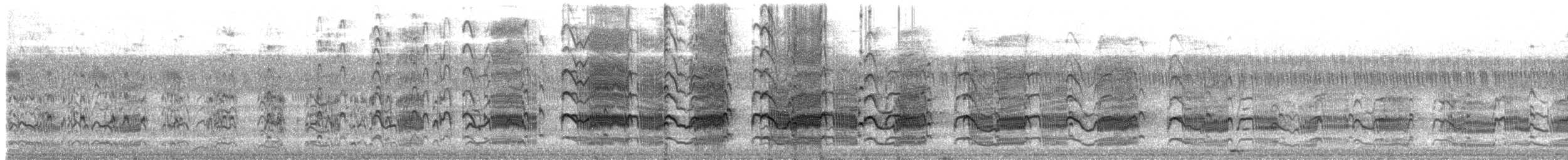 River Tern - ML647669794