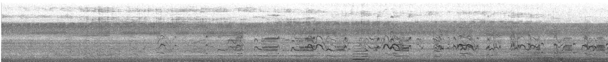 River Tern - ML647669795