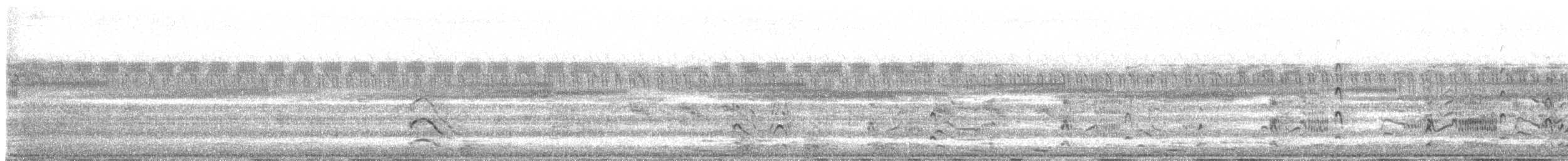 River Tern - ML647669796