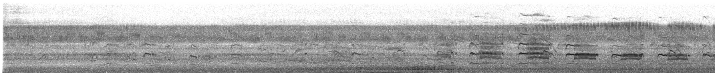 River Tern - ML647669797