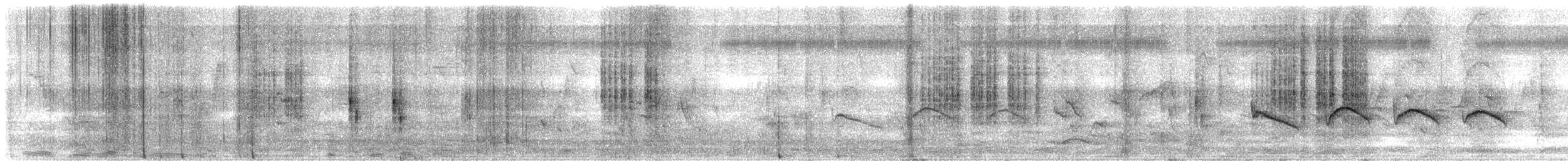 Yellow-eyed Babbler - ML647669821